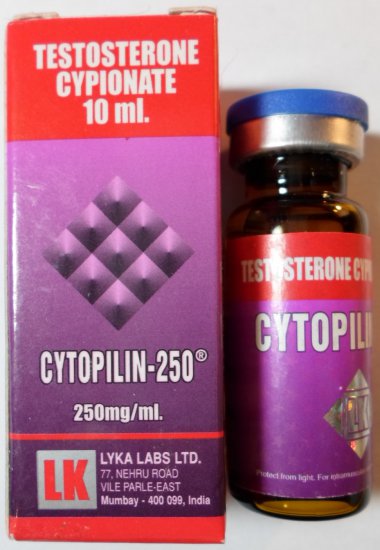 Cytopilin 250 (testosterone cypionate) - Click Image to Close
