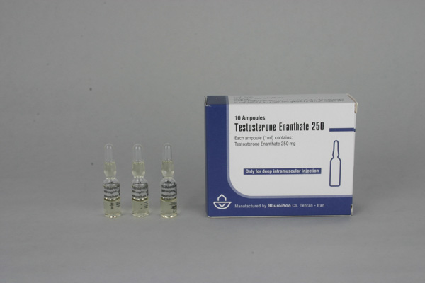 Testosterone Enanthate 250 (Iran) (testosterone enanthate) - Click Image to Close
