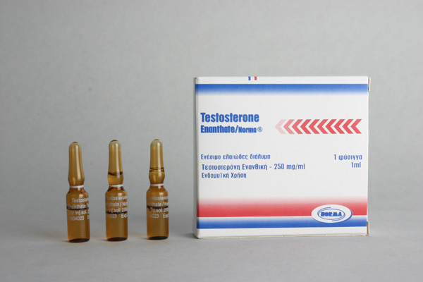 Testosterone Enanthate Norma (testosterone enanthate) - Click Image to Close