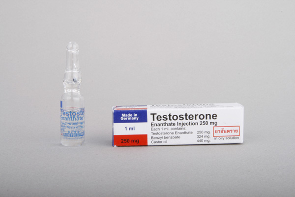 Testosterone Enanthate Bayer (testosterone enanthate) - Click Image to Close