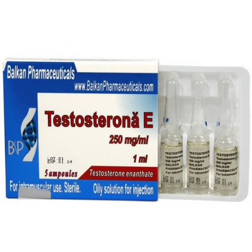 Testosterona E (testosterone enanthate) - Click Image to Close