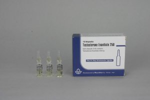 Testosterone Enanthate 250 (Iran) (testosterone enanthate)