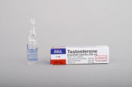 Testosterone Enanthate Bayer (testosterone enanthate)