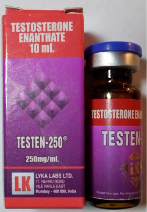 Testen 250 (testosterone enanthate)