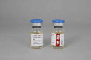 Testabol Propionate (testosterone propionate)