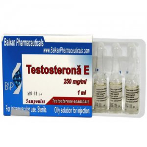 Testosterona E (testosterone enanthate)