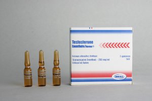 Testosterone Enanthate Norma (testosterone enanthate)