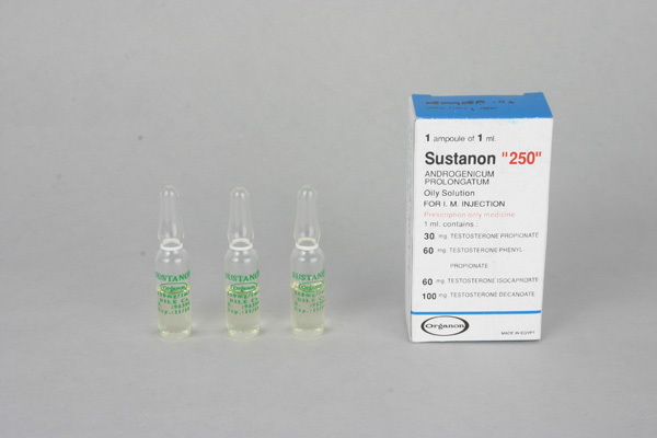Sustanon 250 Egypt (testosterone mix) - Click Image to Close